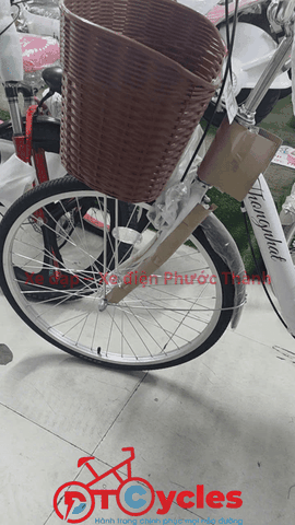 Xe đạp nữ Thống Nhất New 24 2026 màu Trắng