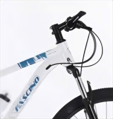 Xe đạp địa hình FASCINO 329 màu Trắng-Xanh