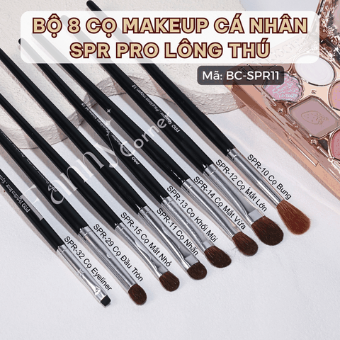 SPR11 - Bộ 8 Cọ SFR