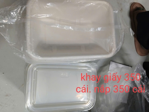 KHAY GIẤY  VÀNG NẮP NHỰA TRẮNG