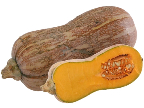 Bí đỏ hữu cơ ĐL - TPT