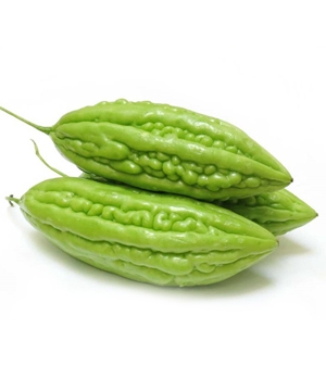Khổ qua hữu cơ ĐL - TPT