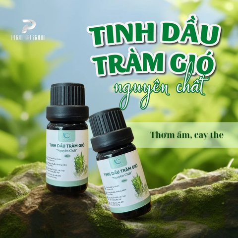 Tinh dầu tràm gió 10 ML HMP