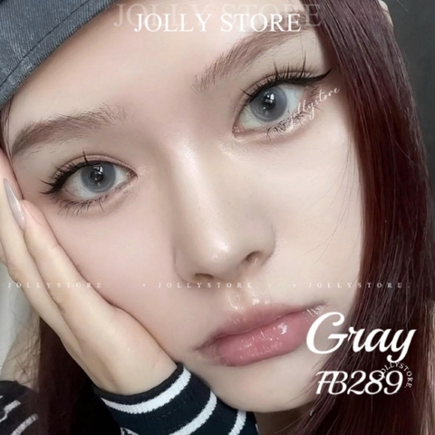 FB289 GRAY 14.2mm