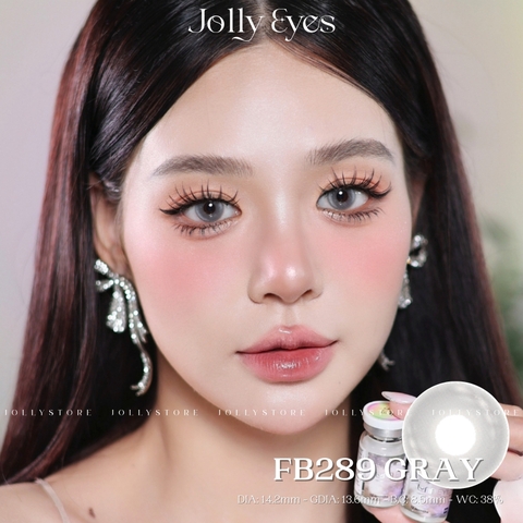 FB289 GRAY 14.2mm