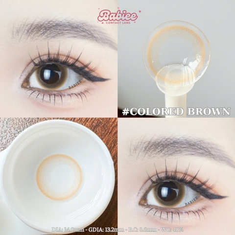 COLORED BROWN [BABIEE]