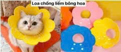 Loa chống liếm hình bông hoa size S M