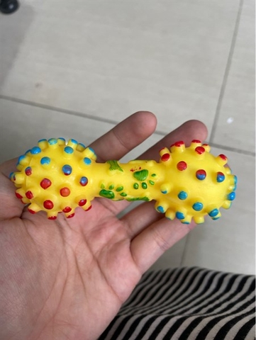 Đồ chơi tạ nhựa chipchip