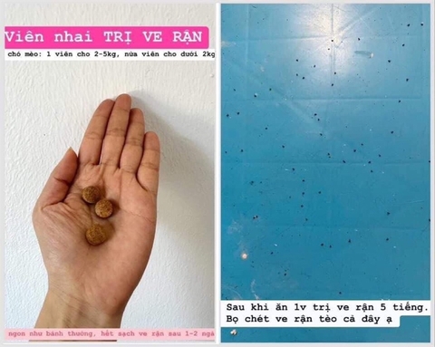 Thuốc trị ve rận