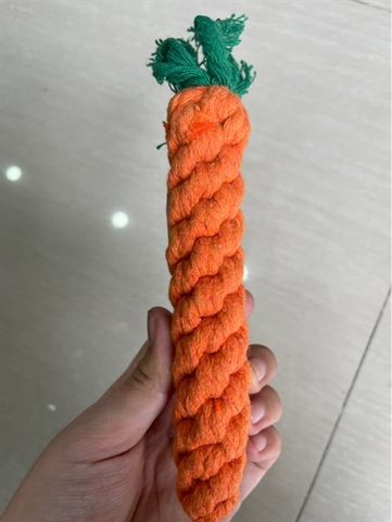 Đồ chơi thừng cà rốt