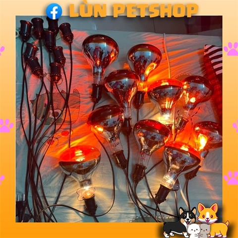 BÓNG ĐÈN HỒNG NGOẠI SƯỞI CHO MÈO
