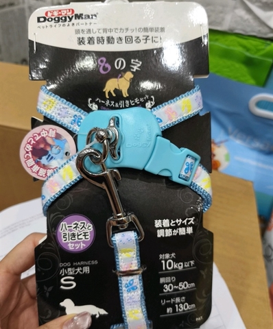 dây dắt và yếm 15 mm cho chó 10kg