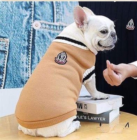 Áo len màu nâu viền đen