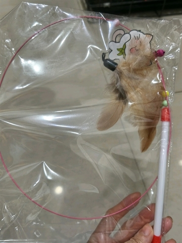 Cần câu mèo Fine