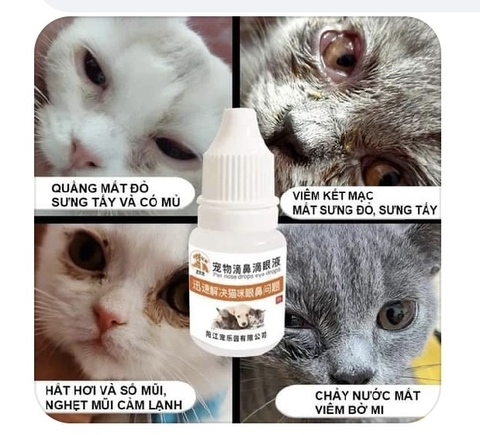 Thuốc nhỏ trị đau mắt, nghẹt mũi