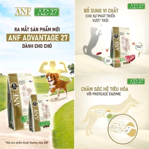 ANF AD27 chó mlt 1.6kg