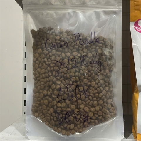Royal Canin Poodle Adult - 500g chiết