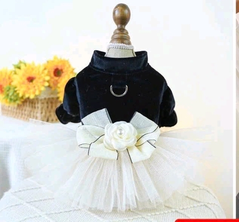 áo nhung váy tutu đính nơ và hoa ngọc trai smlxl