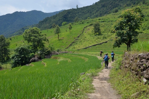 Pờ Ma Lung: 2.967m