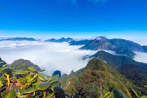 Tả Liên Sơn: 2.996m