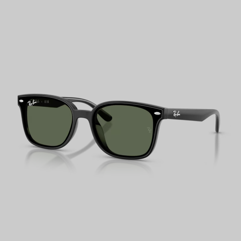 RAYBAN 0RB4461D
