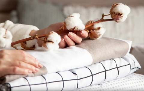 Chất liệu cotton: Sự ra đời, đặc điểm, phân loại và ứng dụng