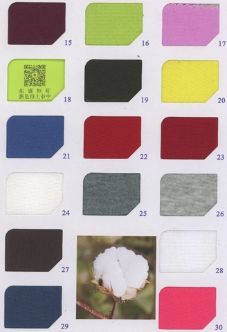 38171 - Thun nỉ Poly 32S (300gsm)