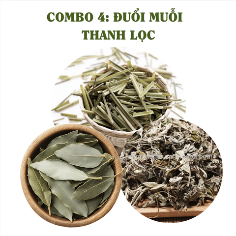 100g Combo trộn đuổi muỗi combo 4 thảo mộc xông phòng cao cấp thanh lọc không khí ẩm mốc an toàn cho người sử dụng