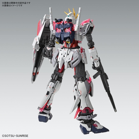 MG 1/100 NARRATIVE GUNDAM C-PACKS