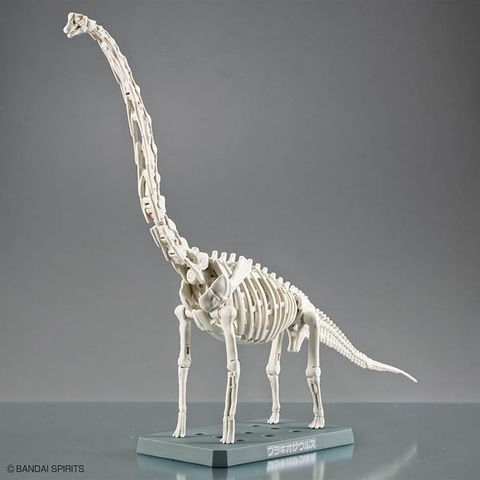 PLANNOSAURUS BRACHIOSAURUS