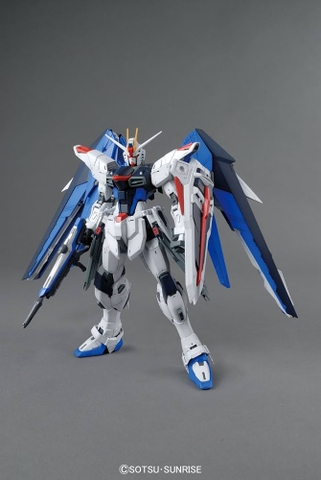 MG 1/100 FREEDOM GUNDAM Ver.2.0