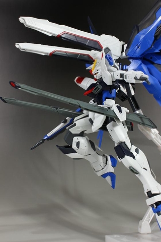 MG 1/100 FREEDOM GUNDAM Ver.2.0