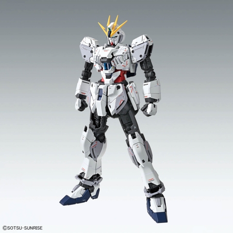 MG 1/100 NARRATIVE GUNDAM C-PACKS