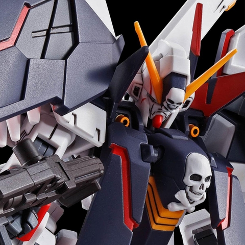 MG 1/100 CROSSBONE FULL CLOTH