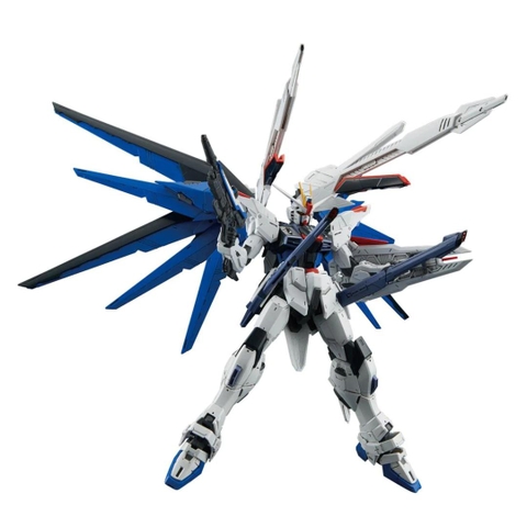 MG 1/100 FREEDOM GUNDAM Ver.2.0