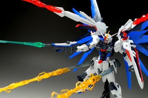 MG 1/100 FREEDOM GUNDAM Ver.2.0