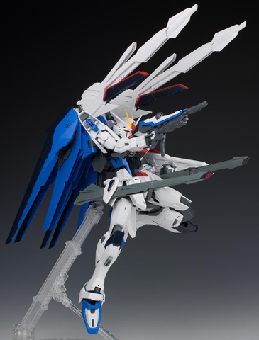 MG 1/100 FREEDOM GUNDAM Ver.2.0
