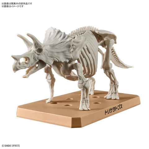 PLANNOSAURUS TRICERATOPS