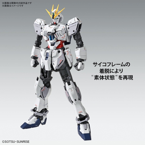MG 1/100 NARRATIVE GUNDAM C-PACKS