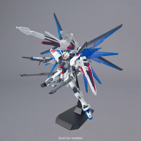 MG 1/100 FREEDOM GUNDAM Ver.2.0