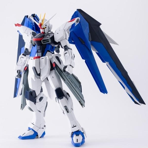 MG 1/100 FREEDOM GUNDAM Ver.2.0