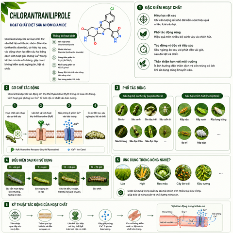 Glufosinate ammonium là gì? Đặc điểm, cơ chế và lưu ý khi sử dụng
