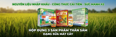khuyến mãi toto