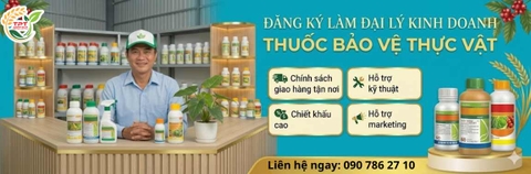 ĐÓN THU SANG - NGÀN ƯU ĐÃI