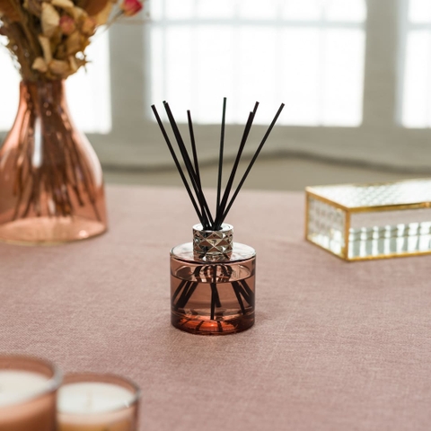 Lọ tinh dầu khuếch tán hương Agaves Garden Joy Maison Berger – ảnh 2