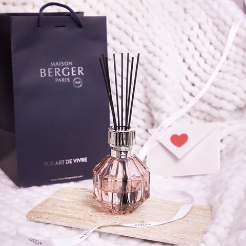 Bộ lọ tinh dầu khuếch tán Facette Nude Maison Berger – ảnh 7