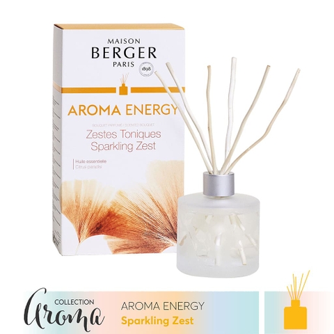 Lọ tinh dầu khuếch tán hương Aroma Energy Maison Berger 180ml