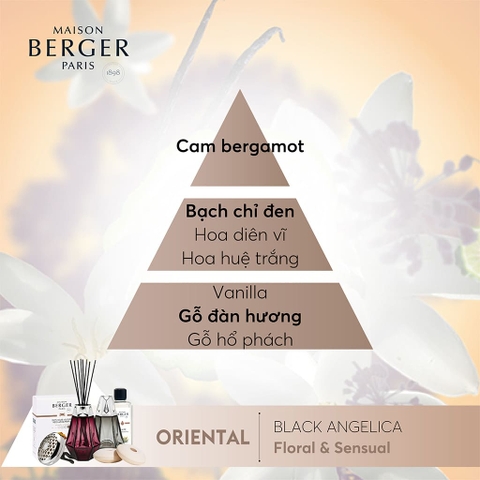 Bộ tinh dầu xe hơi hương Black Angelica Maison Berger – ảnh 3