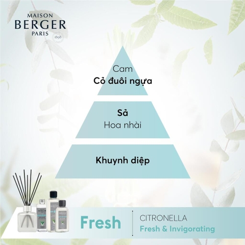 Tinh dầu khuếch tán hương Citronella Maison Berger – ảnh 2