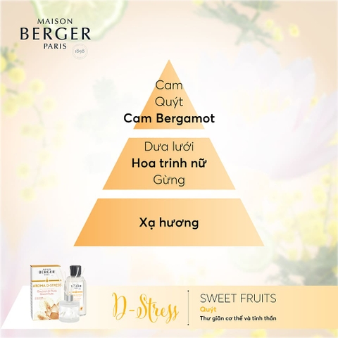 Tinh dầu khuếch tán hương Aroma D-Stress Maison Berger – ảnh 2